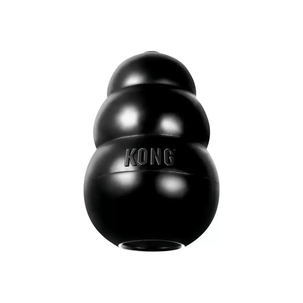 KONGK1E+2-main.webp