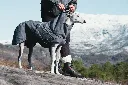 black berry 2.webp