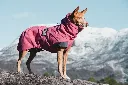 beetroot 2.webp
