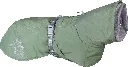 0226285-a-.webp