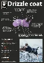 drizzle2.webp