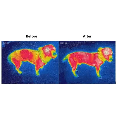https3A2F2Fhypostore.com2Fmedia2Fcatalog2Fproduct2Fb2Fu2Fbucas_therapy_dog_infra_red_300g_1_2.webp