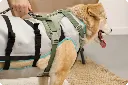 suitical-dry-cooling-vest-dog-harness.webp