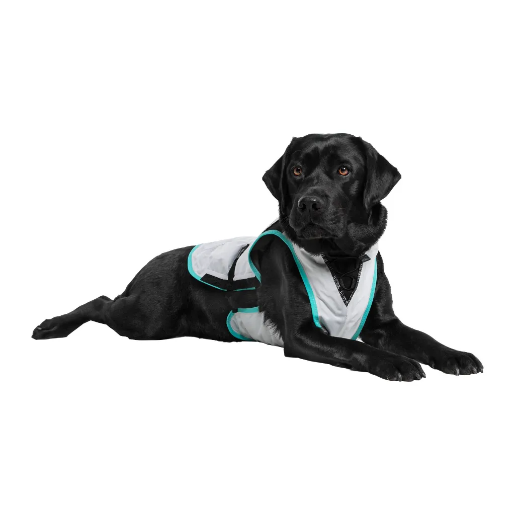 suitical_dry_cooling_vest_149879_2000_none.webp
