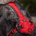 Kyflie-116116_1600.webp