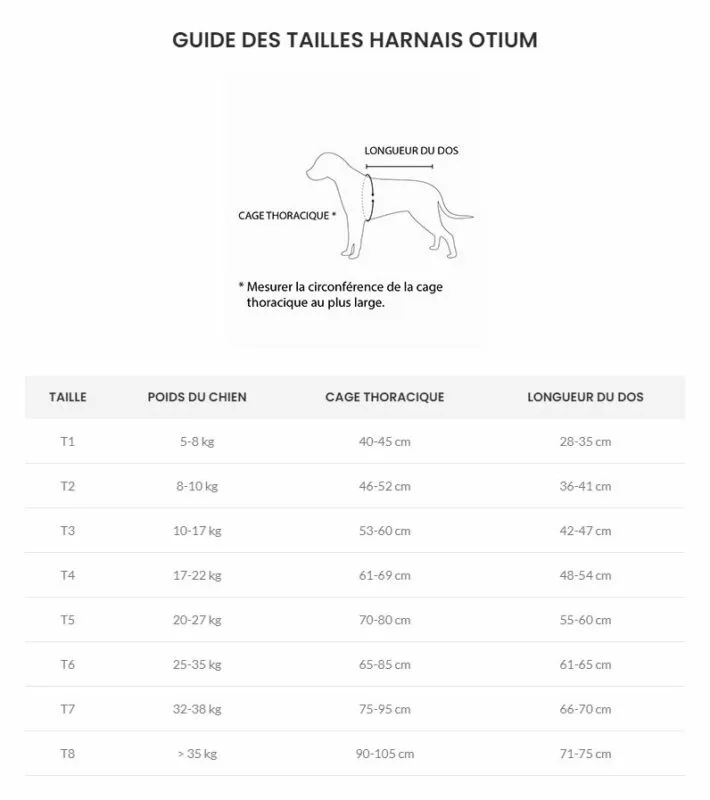 kyflie-otium-harness-size_All4dogsports.webp