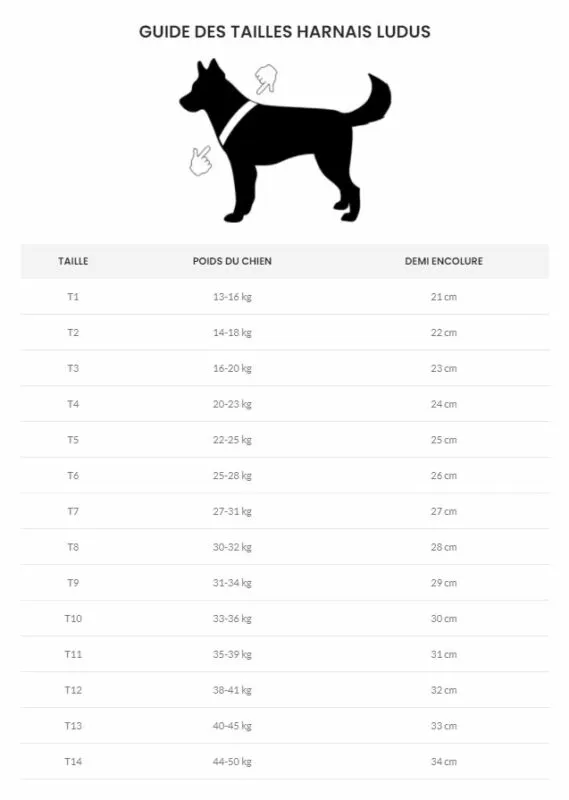 kyflie-ludus-harness-sizes_All4dogsports.webp