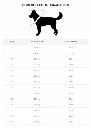 kyflie-ludus-harness-sizes_All4dogsports.webp