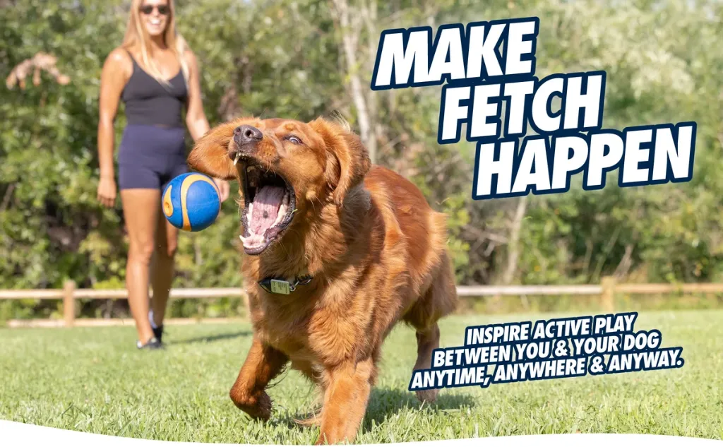 Chuckit---A_---Blue-Ultra_02---Standard-Image---Fetch-39873.webp