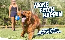 Chuckit---A_---Blue-Ultra_02---Standard-Image---Fetch-39873.webp