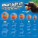 17020_B00280MUVC_CI_Chuckit--Ultra-Ball-Small--1-Each_Nectar_3.webp