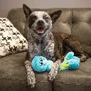 0201844-g.webp