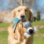 0201855-c-150x150.webp