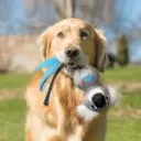 0201855-c-150x150.webp