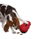 KONGPW2E-KONGPW1E_1.webp
