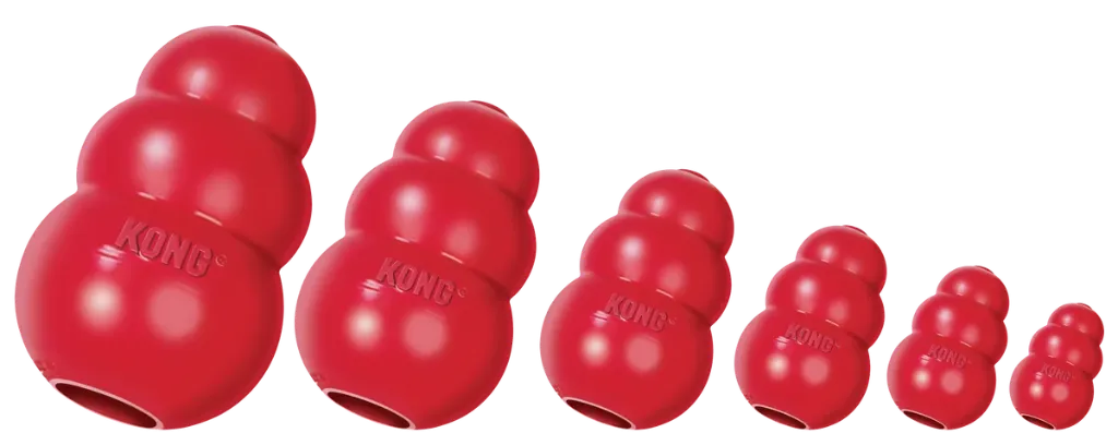 KONGT4E_KONGT3E_KONGT2E_KONGT1E_KONGKXLE_KONGKKE_GROEP.webp