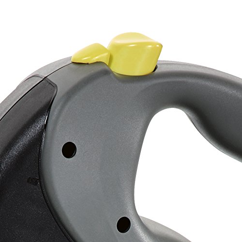 Flexi - Giant professional 10m