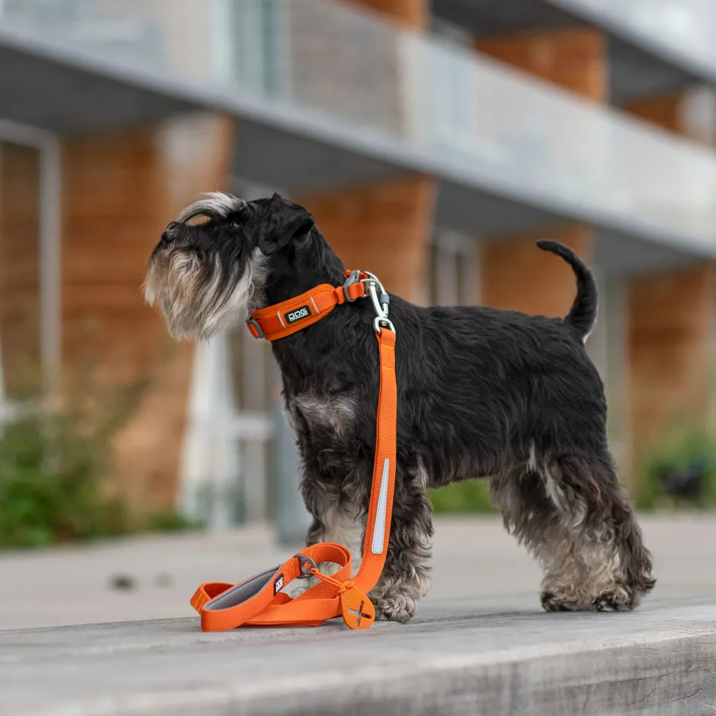 urban-trail-leash (10).webp
