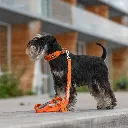 urban-trail-leash (10).webp