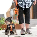 urban-rope-leash (4).webp