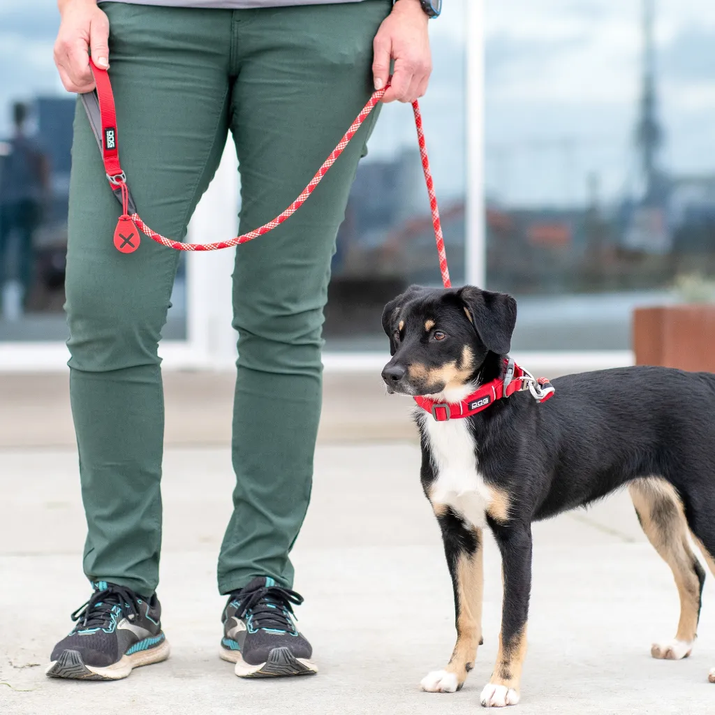urban-rope-leash (3).webp