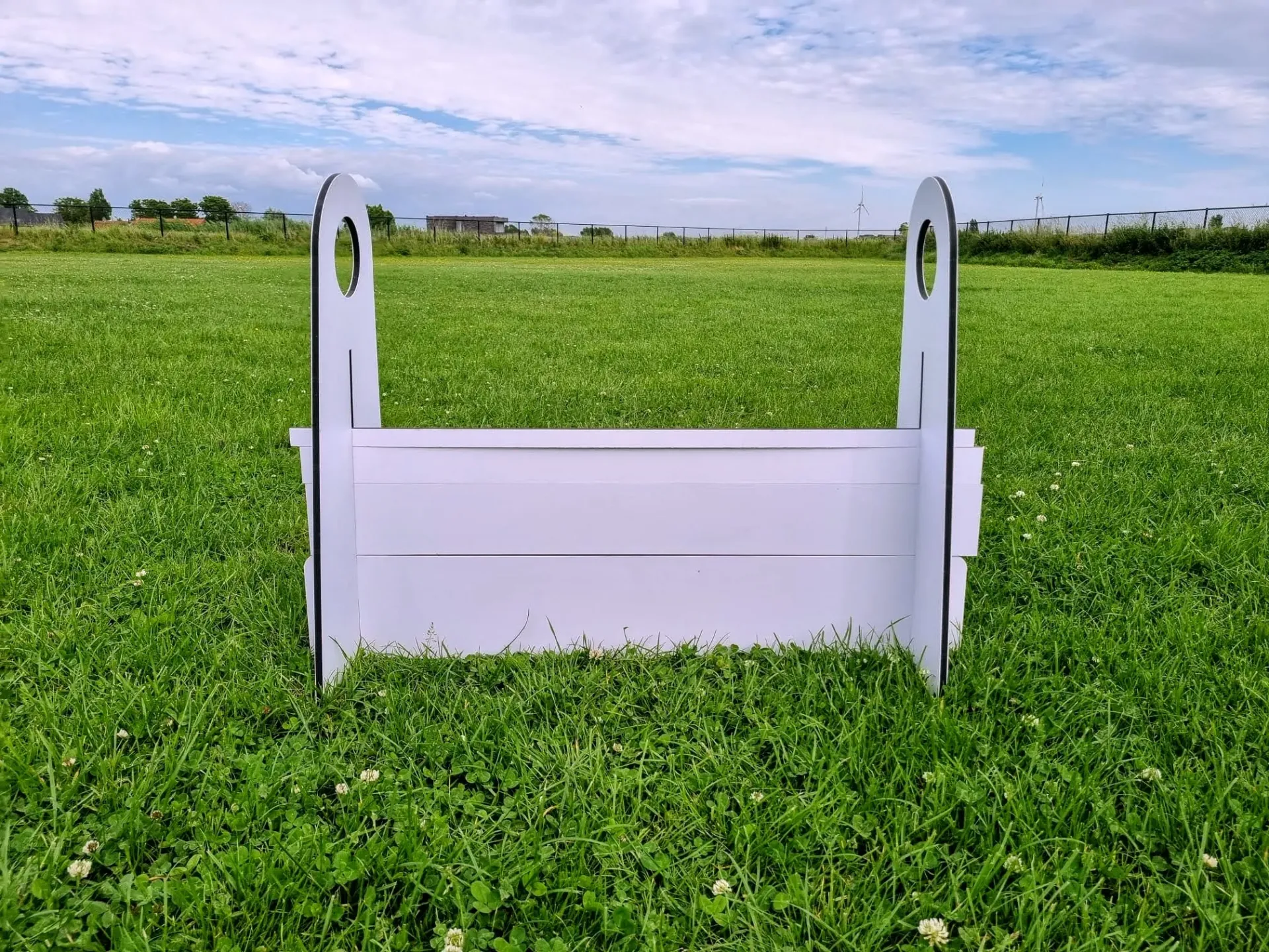 Flyball Complete Jump