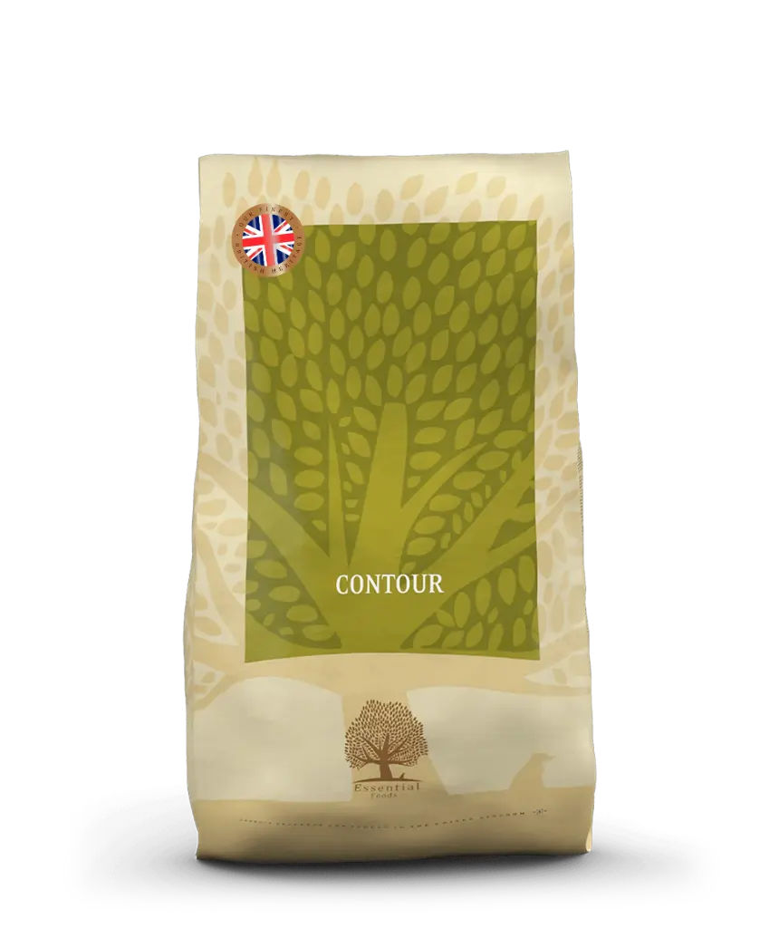 Essential Food - Contour