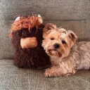 Kong - Comfort Jumbo Highland Cow