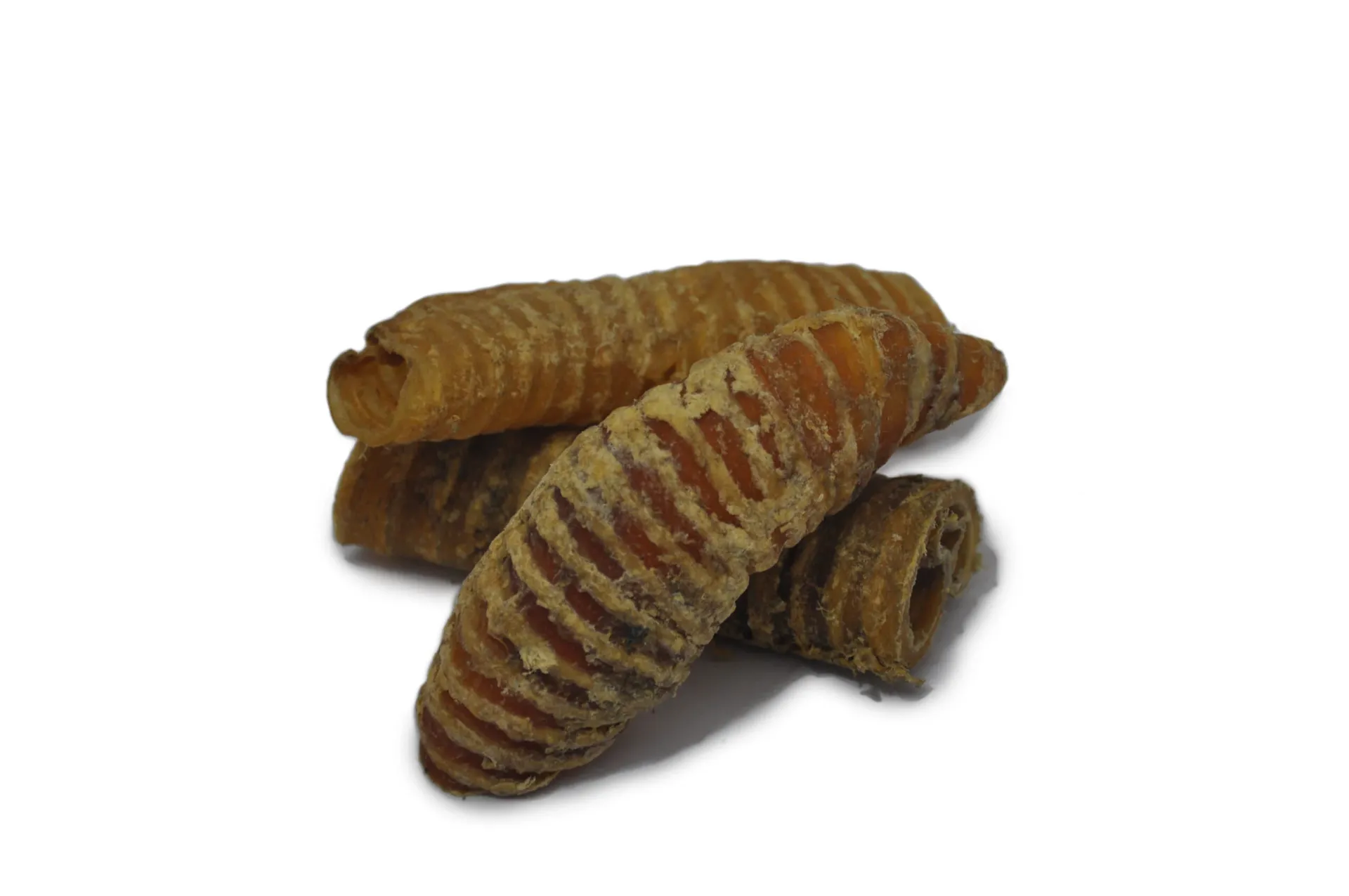 Rescue pet food - Lamsluchtpijp