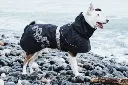 Hurtta Drizzle coat