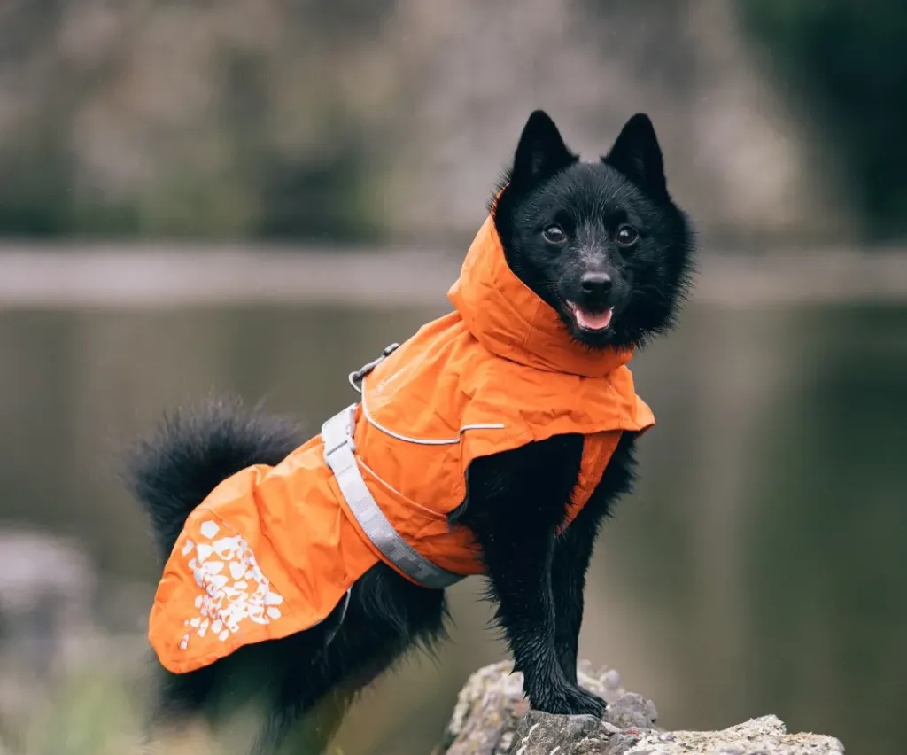 Hurtta Monsoon coat