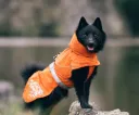 Hurtta Monsoon coat