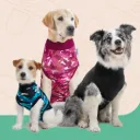 Suitical - Recovery suits