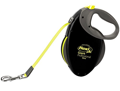 Flexi - Giant professional 10m